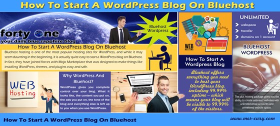 How To Start A WordPress Blog On Bluehost: How To Start A WordPress Blog On Bluehost